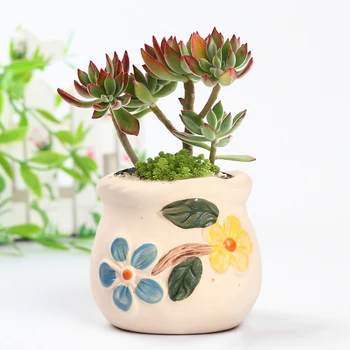 Naujas Korėjos Ins Floret Keramikos Sultingas Gėlių Vazonai, Molio Sultingas Žalia Augalų Nykščio Puodą Balkonas Vazoninių Augalų Sode