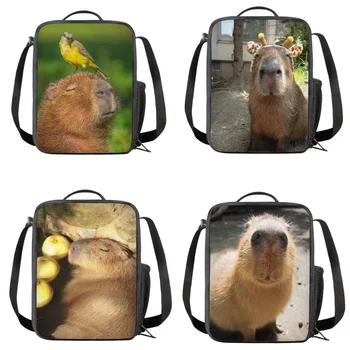 Capybara Drzemki Sunshine Spausdinti Izoliuoti Pietūs Maišą Vaikams Nešiojamų Šilumos Aušintuvas Pietūs Nešti Darželio Priešpiečių Dėžutė